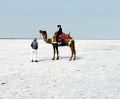 Kutch Tourism Package